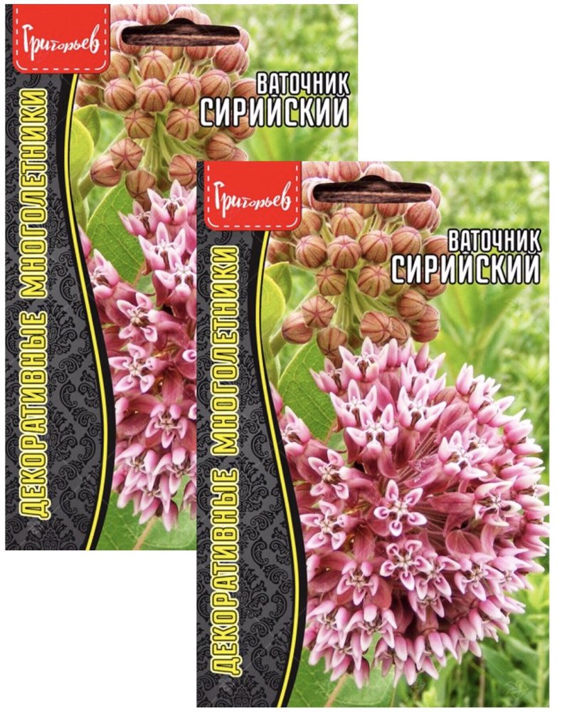 Ваточник Сирийский (Asclepias syriaca), 2 пакета, семена 15 шт, ЧК #1