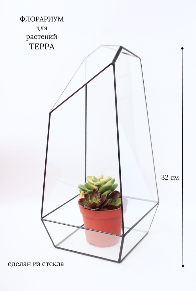 Флорариум для растений из стекла Терра, Glass Flowers #1