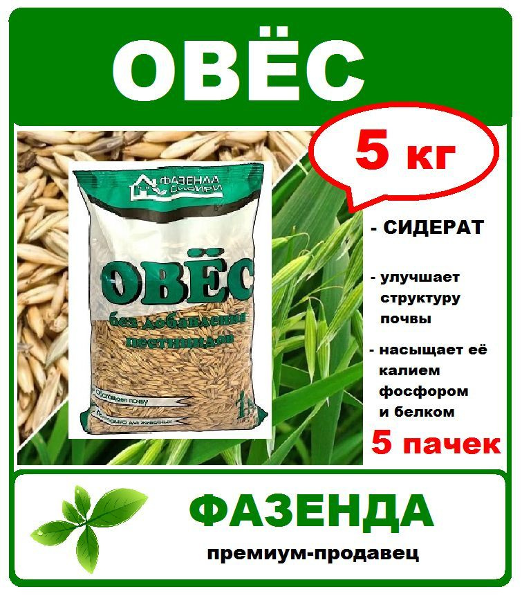Овес семена 5 кг. (5шт по 1кг) Сидерат, улучшитель почвы. Без добавления пестицидов. Фазенда Сибири  #1