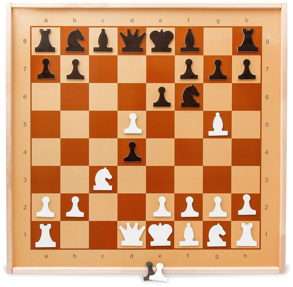 Шахматы и шашки демонстрационные магнитные #1