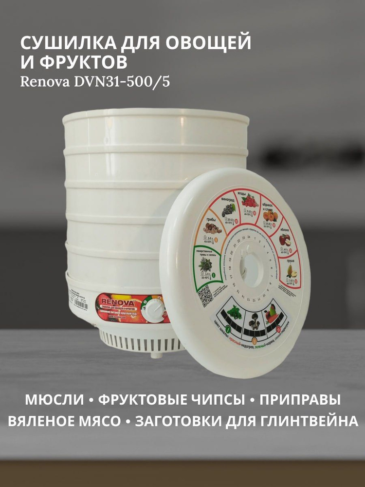 Сушилка электрическая RENOVA DVN31-500/5 #1