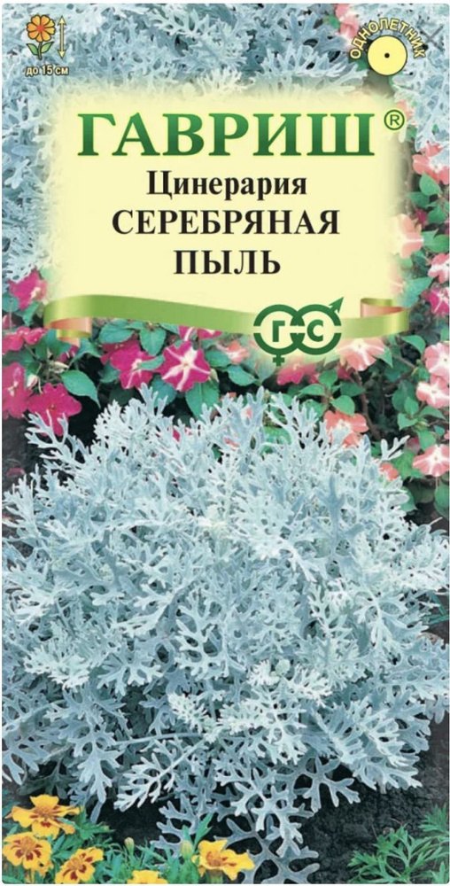 Цинерария приморская СЕРЕБРЯНАЯ ПЫЛЬ, 1 пакет, семена 0,05 г, Гавриш  #1