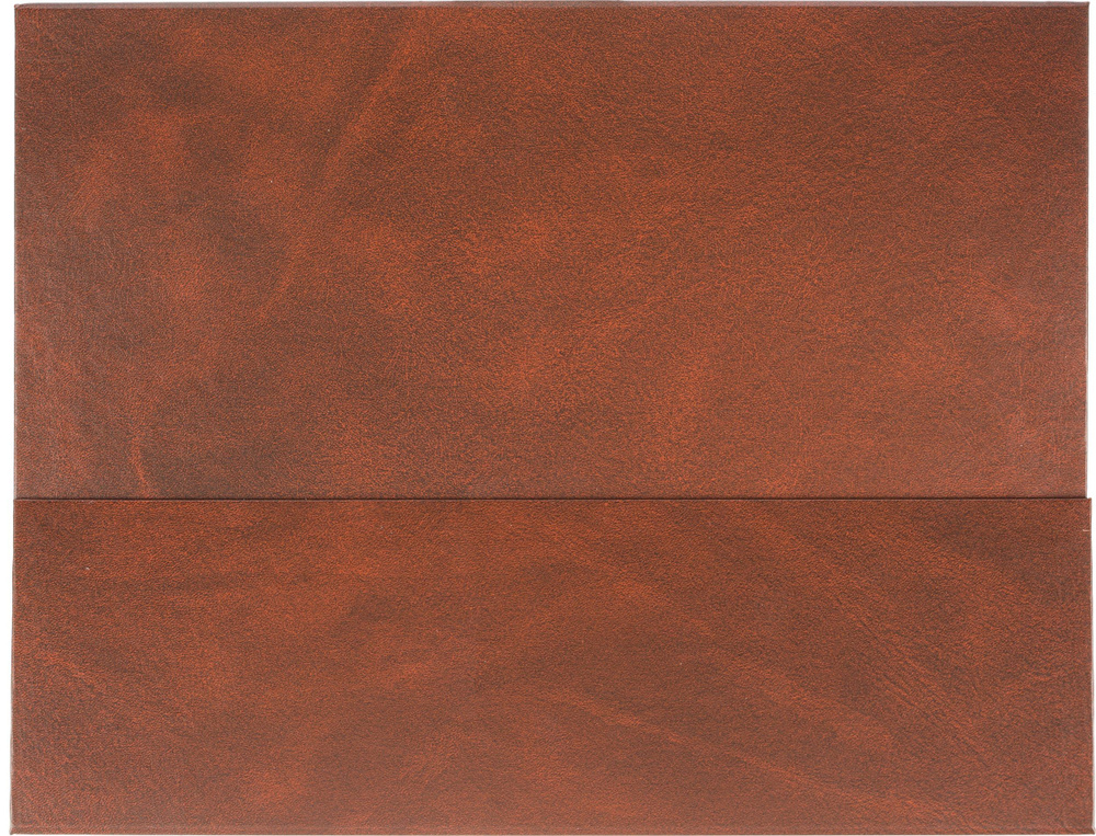 Планер Attache Balacron, планинг недатированный, 330x98 мм, 57 листов, коричневый  #1