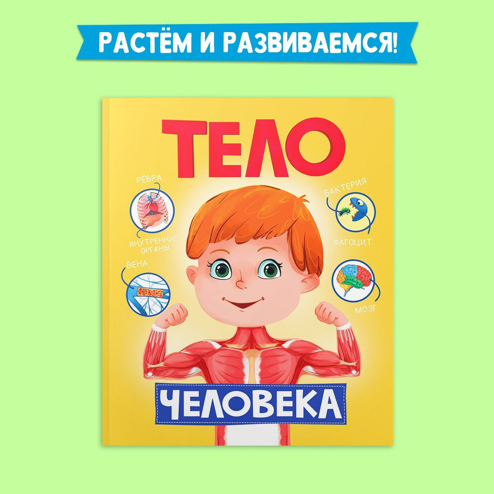 Энциклопедия для детей Тело человека, листов: 12, шт #1