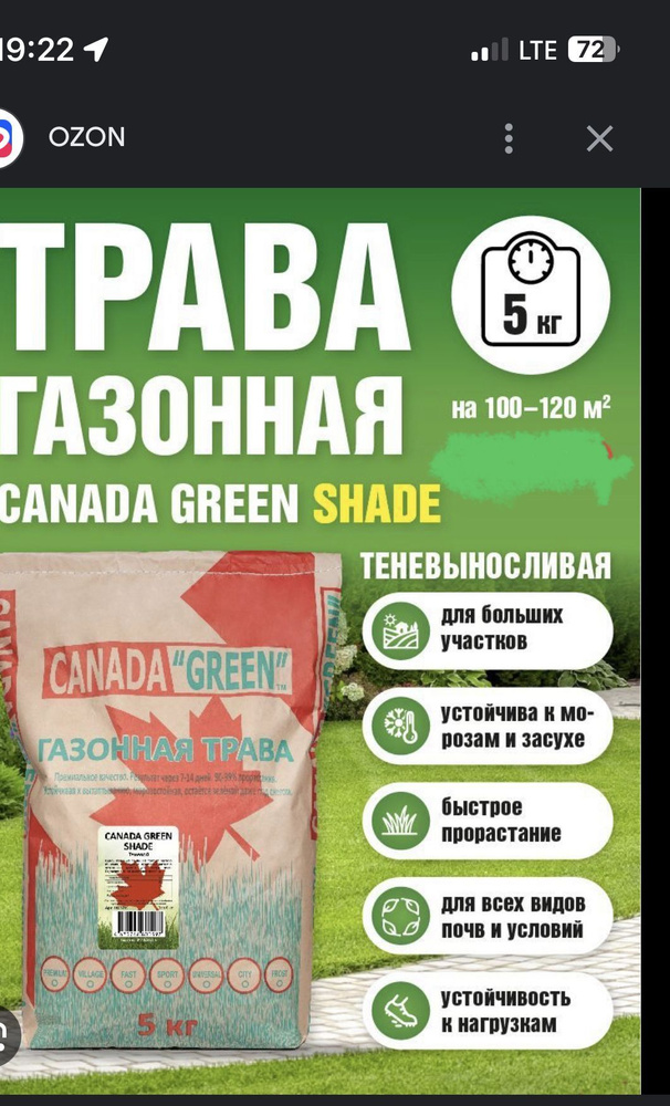 Canada Green Семена #1