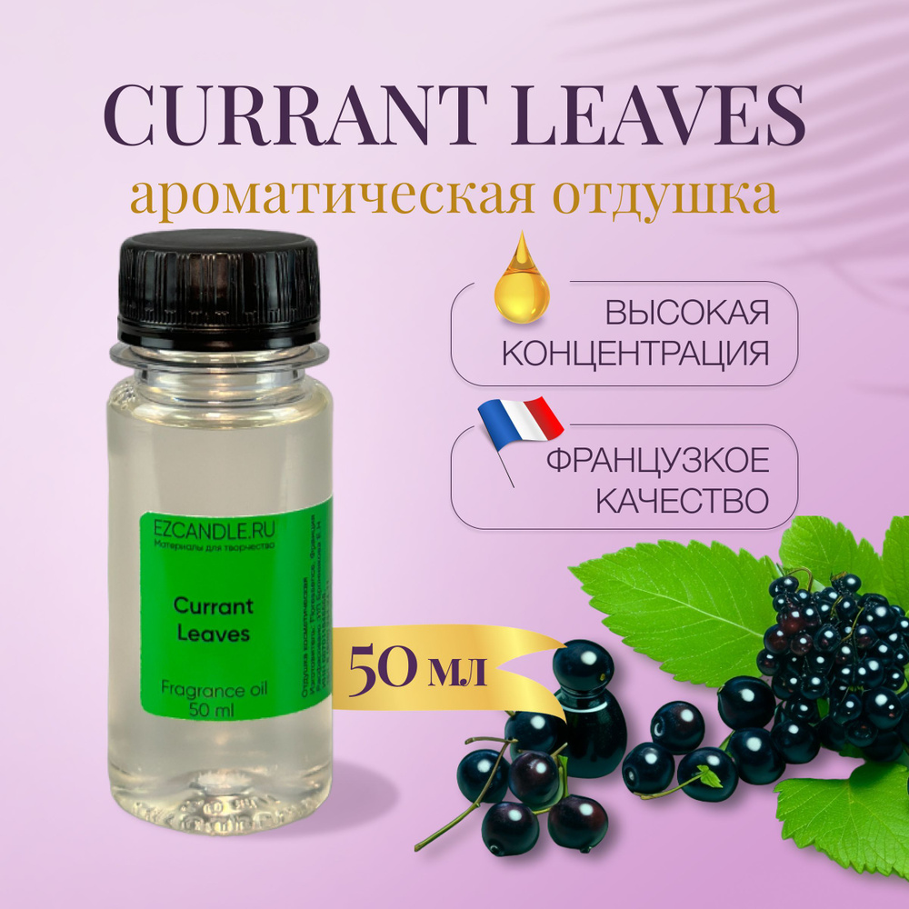 Отдушка Листья Смородины (Currant Leaves) 50 мл EZCANDLE для ароматических свечей, мыловарения, бомбочек, #1