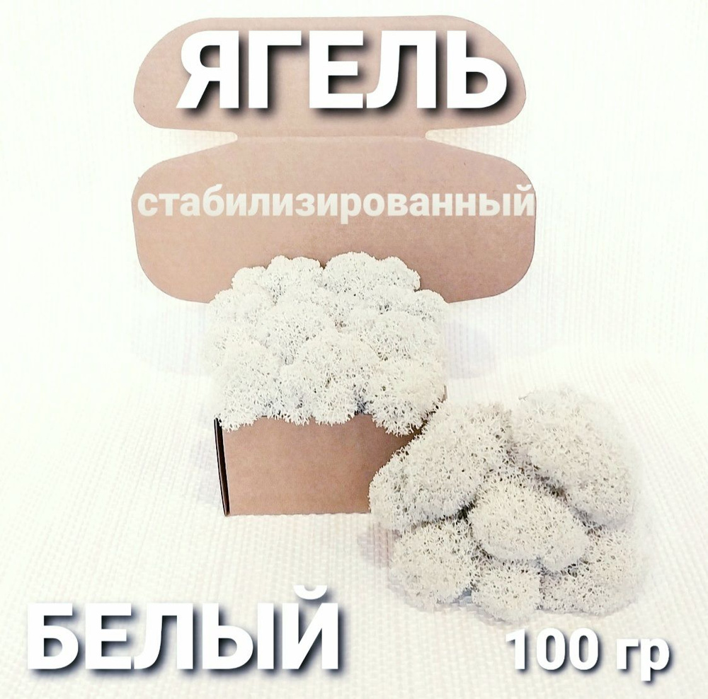 Сухоцветы Мох, 100 гр, 1 шт #1