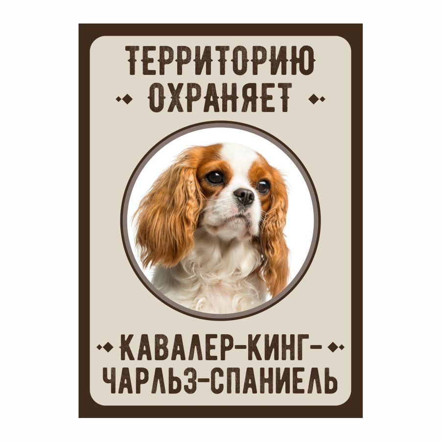 Табличка, Злая собака, Территорию охраняет Кавалер-кинг-чарльз-спаниель, 18см х 25 см, на забор, на дверь #1