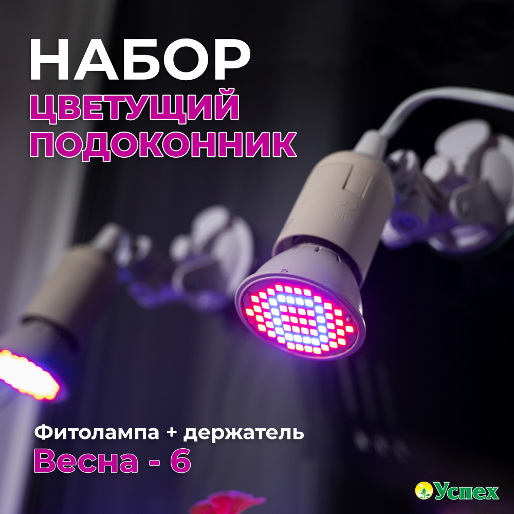 Набор "Цветущий подоконник" держатель+фитолампа Весна-6  #1