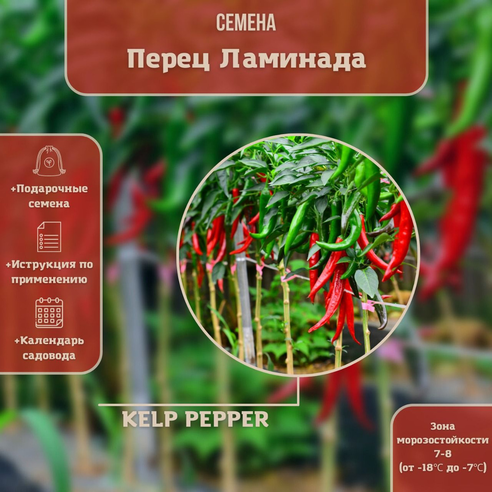 Перец Ламинада (лат. Kelp Pepper) СЕМЕНА 15шт + подарочек #1