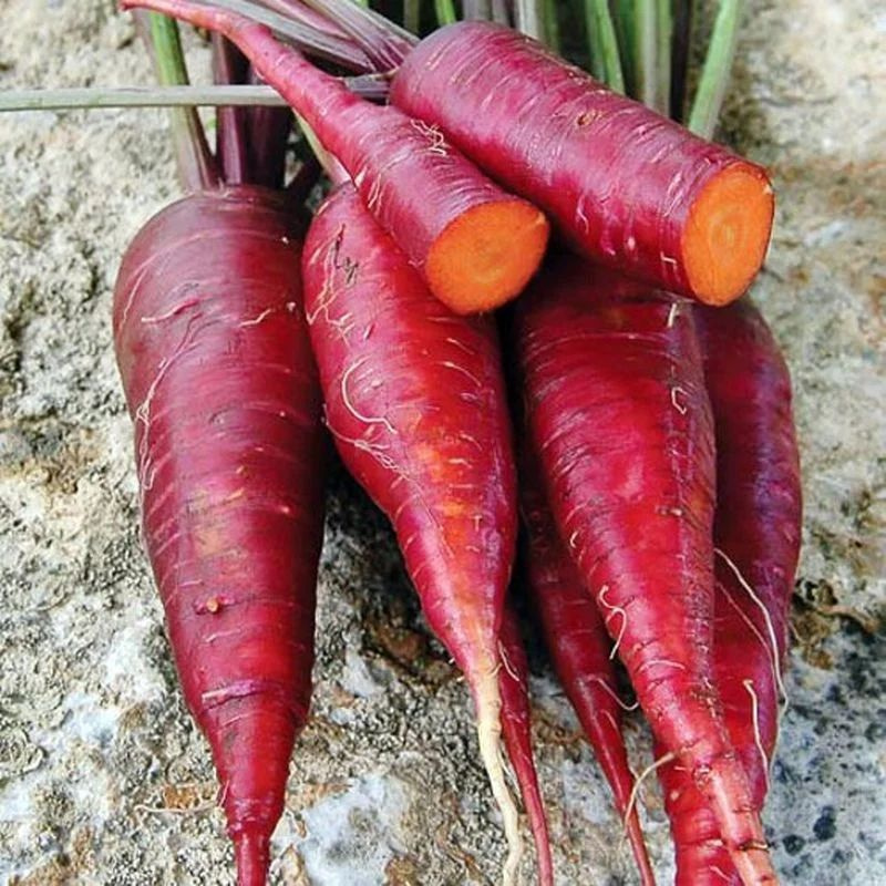 Коллекционные семена моркови Пурпл Дракон #1