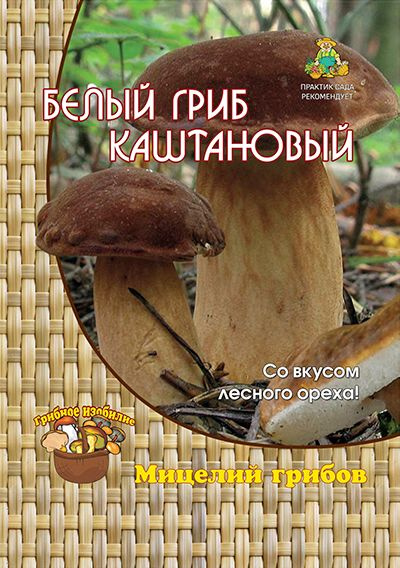 Гриб Белый каштановый (1 уп - 60 мл). Мицелий грибов. Агрохолдинг "Поиск"  #1