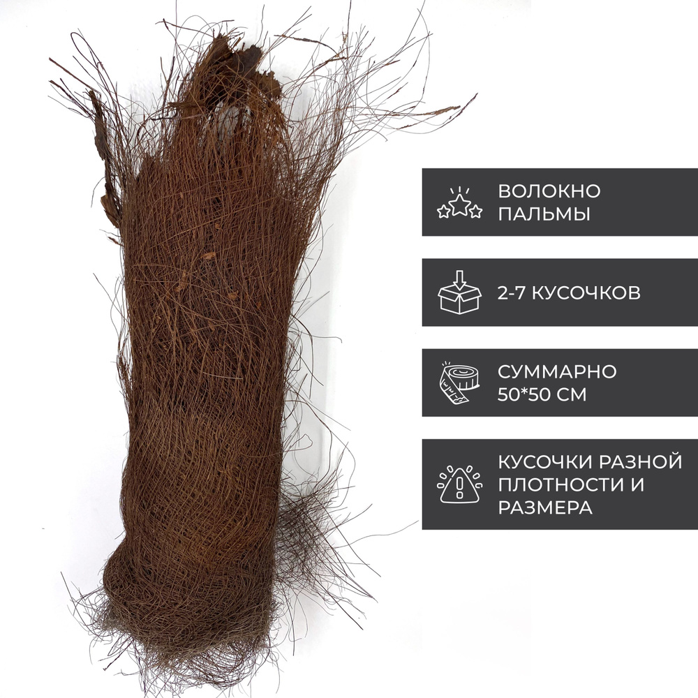 Пальмовое волокно, койра 100 гр., природный материал для икебаны и флористики  #1