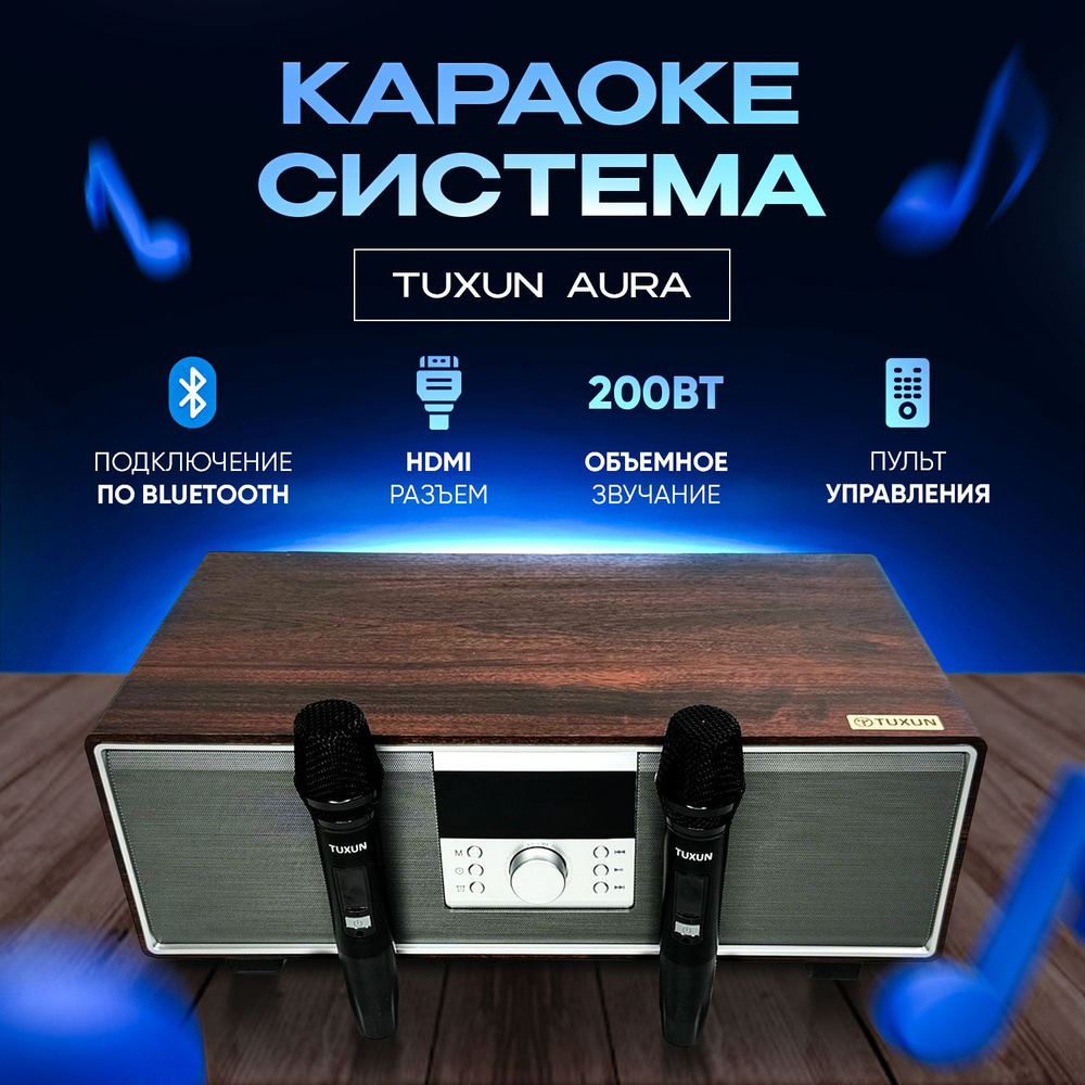 Караоке система Tuxun Aura мощность 200 Вт с двумя микрофонами  #1