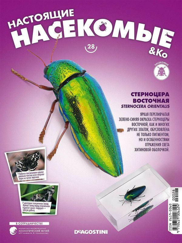 Журнал №28 "Настоящие насекомые" С ВЛОЖЕНИЕМ! Стерноцера Восточная  #1