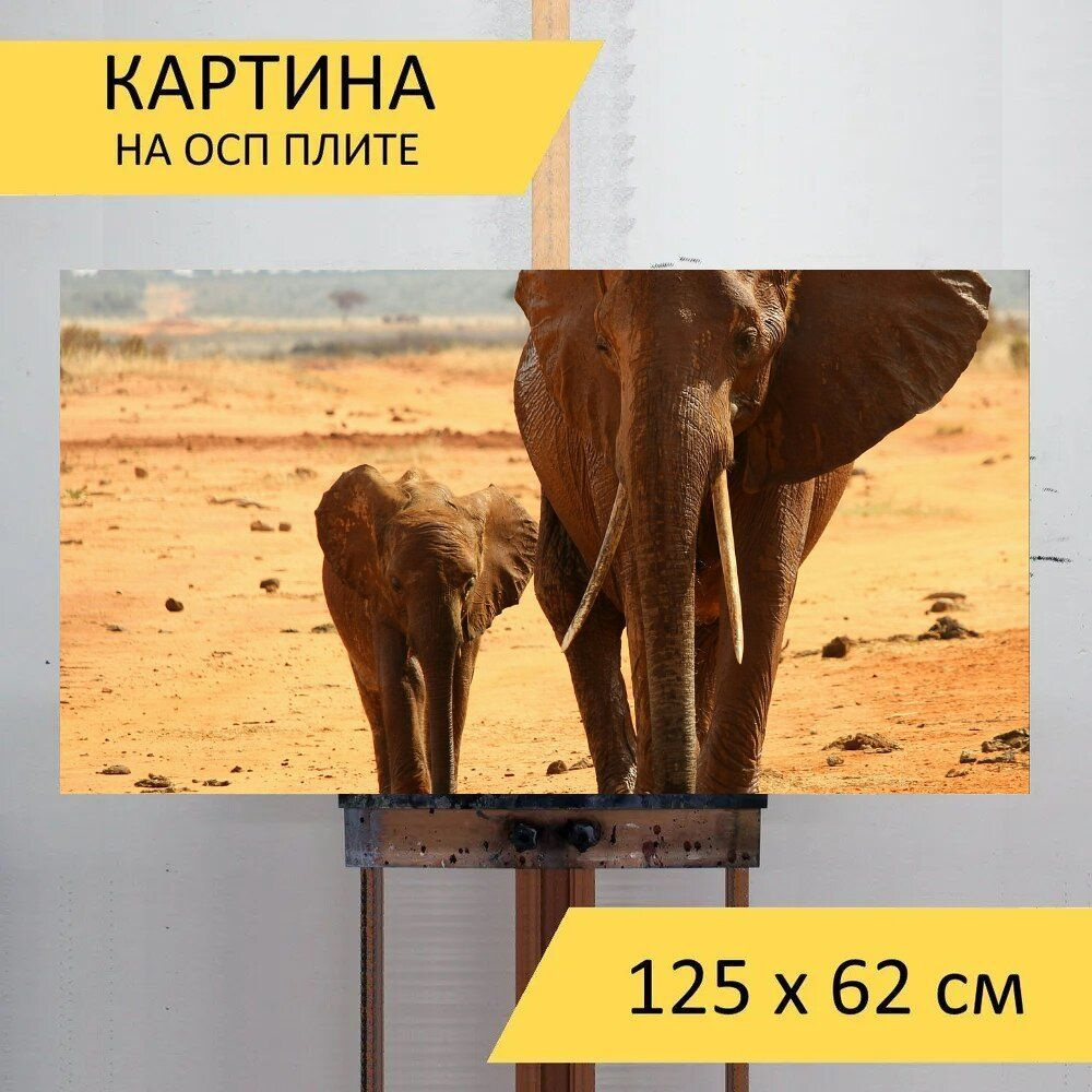 LotsPrints Картина "Слон, африке, национальный парк 27", 125 х 62 см  #1