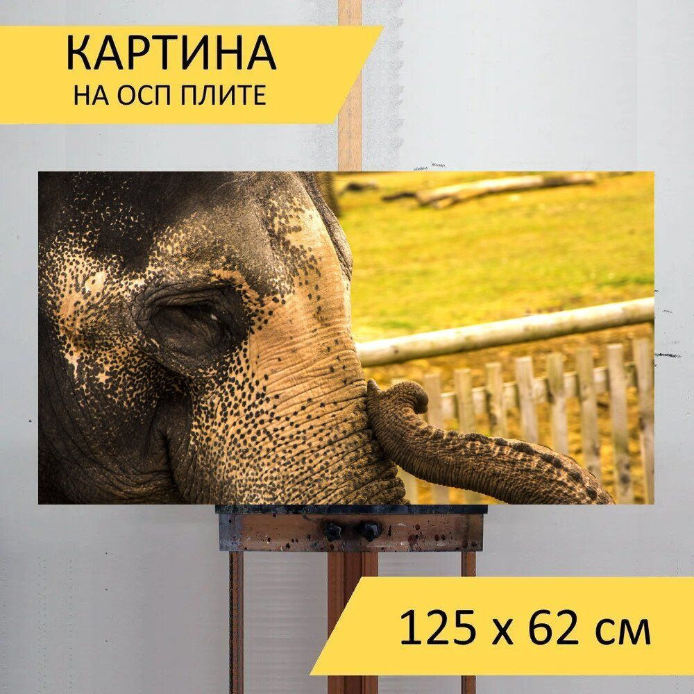 LotsPrints Картина "Слон, животное, дикая природа 17", 125 х 62 см  #1
