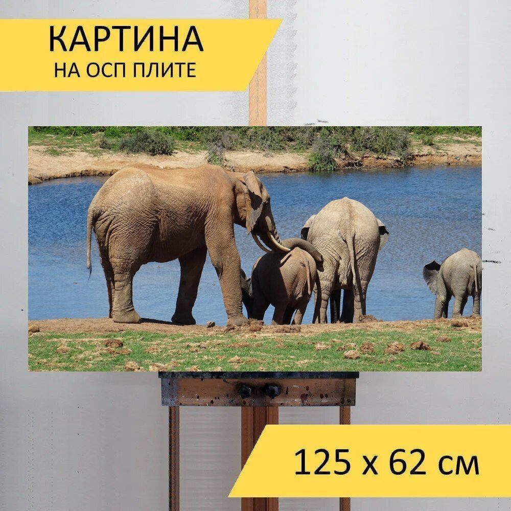 LotsPrints Картина "Слон, дикая природа, млекопитающее 91", 125 х 62 см  #1
