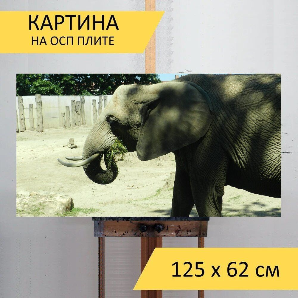 LotsPrints Картина "Слон, зоопарк, животные 26", 125  х 62 см #1