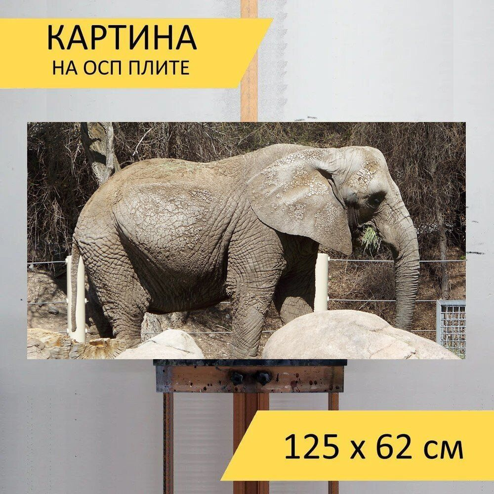 LotsPrints Картина "Слон, млекопитающее, животное 75", 125 х 62 см  #1
