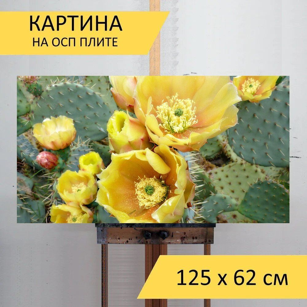 LotsPrints Картина "Кактус, цветок, терновый венец 71", 125 х 62 см  #1