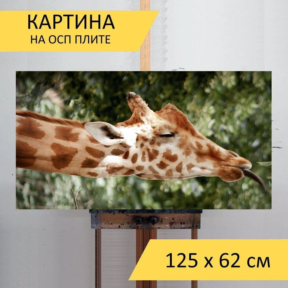 LotsPrints Картина "Жирафа, спать, веселье 55", 125  х 62 см #1