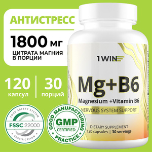 Магний цитрат с витамином В6 (магний в6), витамины для борьбы со стрессом и усталостью, Magnesium Citrate, 120 капсул