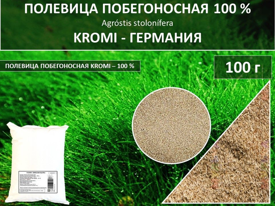 Полевица побегоносная для газона фото и описание