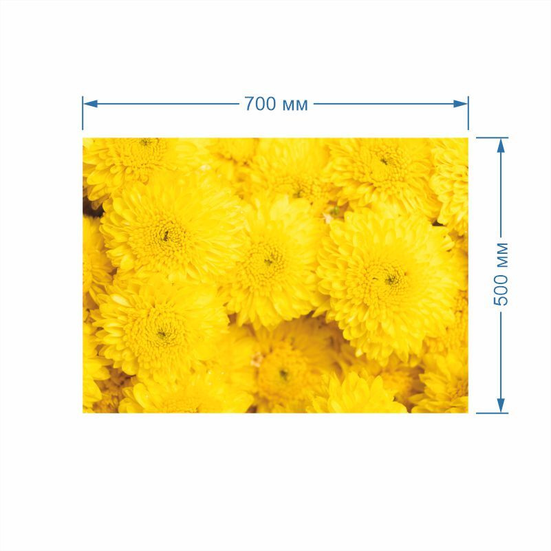 Постер для интерьера Желтые Цветы Хризантемы 70 х 50 см