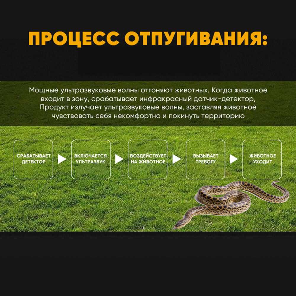 Текстовое описание изображения