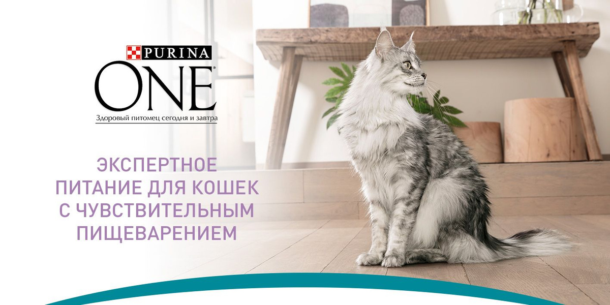 Purina One Cat Sensitive