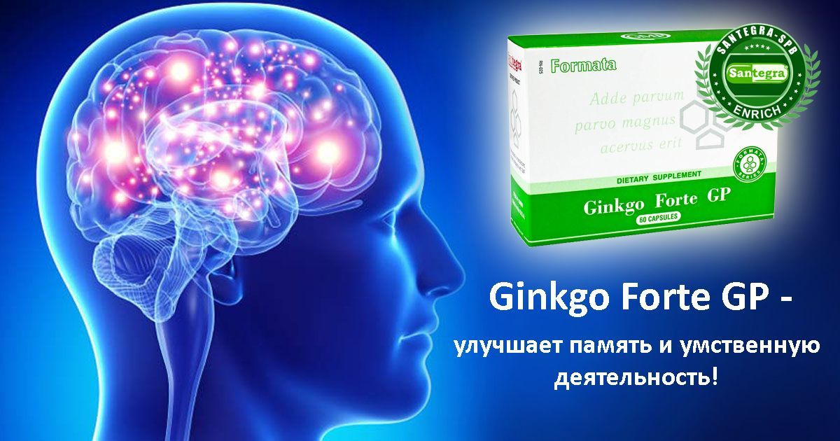 Ginkgo Forte GP (Джинкго Форте Джи Пи) - улучшение памяти и концентрации внимания