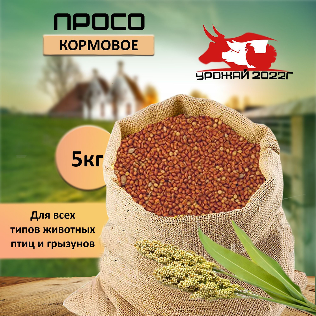 Пшеница кормовая