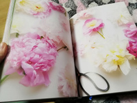 Пионы. Роскошные цветы для дома и сада | Исто Джейн, Лэйн Джорджианна #5, Шубинкина Салима