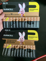 Батарейки щелочные (алкалиновые) Duracell Basic АА, 1,5В, 12шт (пальчиковые) #6, Ирина Н.