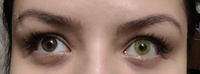 ЗЕЛЕНЫЕ + СЕРЫЕ Цветные контактные линзы для глаз MAGESTIC, 12 месяцев, 0.00 #24, Анастасия Л.