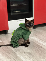 Одежда для собак мелких пород и кошек комбинезон костюм, M #53, Елизавета С.