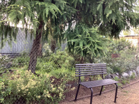 Разборная садовая скамейка со спинкой ARRIVO AR3010,100*45см, высота 80см, черная, металлическая/для дачи, парка, частного дома #7, Галина Ф.