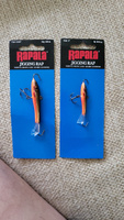 Rapala Балансир рыболовный, 18 г #70, Михаил Ш.