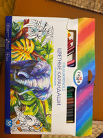 Набор цветных карандашей для рисования Гамма "Классические", 36 цветов, заточен., картон. упаковка, европодвес #152, Антон К.