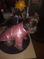 Куртка для собак мелких пород и кошек Arnydog "Лондон" розовая, L (30 см) #4, Юлия П.
