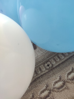 Воздушные шары "Синяя/Голубая/Белая пастель" 25 шт. 25 см. #56, Ксения К.