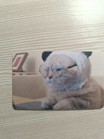 Виниловая наклейка на карту банковскую мем Коты v1 // Наклейки с котиками #37, Алёна В.