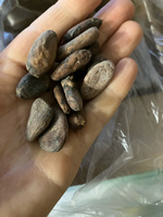 Какао бобы натуральные сорт Форастеро, 1 кг #5, Марина Б.