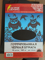 Цветная бумага А4 Гофрированная для хобби и творчества, 10 листов, Черная, 160 г/м2, Остров Сокровищ, 210х297 мм #34, Елена К.
