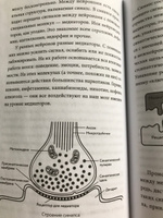 Научное мировоззрение изменит вашу жизнь. Почему мы изучаем Вселенную и как это помогает нам понять самих себя? | Плисов Евгений Дмитриевич #4, Наталья Б.