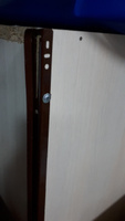 Роликовые направляющие для мебели: для выдвижных ящиков, полок и тумб, длина 600 мм (нагрузка до 12 кг), Комплект на 1 ящик (4 плашки), коричневый , металл. #3, Ольга Б.