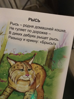 Книжки-малышки песенки,стихотворения,потешки и загадки 8 шт. #7, Елена Х.