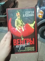 Венгры с перцем. Исторический путеводитель по друзьям и партнерам #2, Юлия Б.