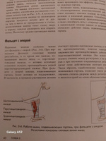 Анатомия голоса. Иллюстрированное руководство для певцов, преподавателей по вокалу и логопедов | Даймон Теодор #8, Ольга Д.